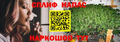 сатива Владивосток