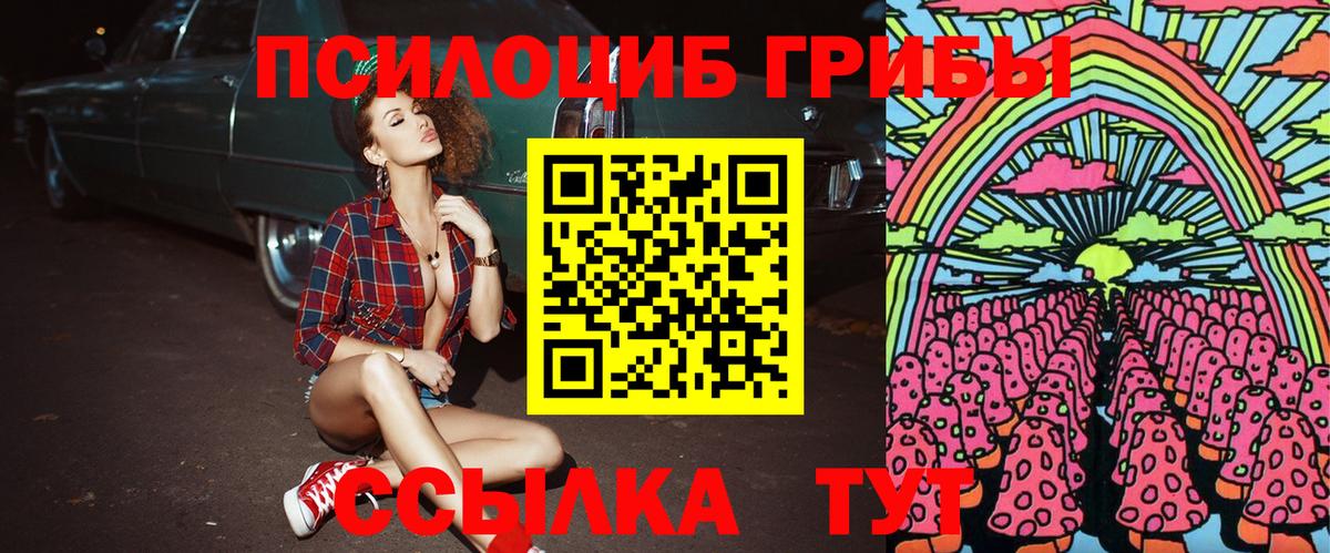 Галлюциногенные грибы MAGIC MUSHROOMS  Псилоцибиновые грибы Cubensis  Вход с VPN  купить наркоту  Горячий Ключ 